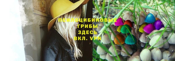 гидра Новодвинск