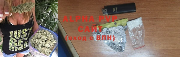 соль ск Новозыбков