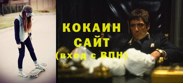 соль ск Новозыбков