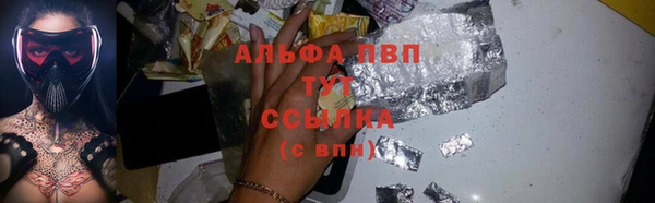 гидра Новодвинск