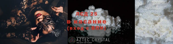 гидра Новодвинск