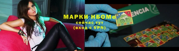 соль ск Новозыбков