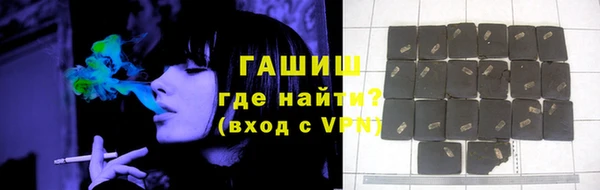 соль ск Новозыбков