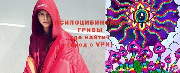 гидра Новодвинск