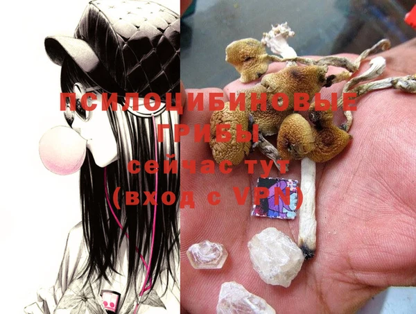 ECSTASY Новокубанск
