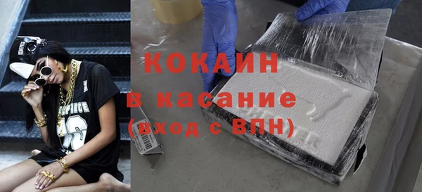 соль ск Новозыбков
