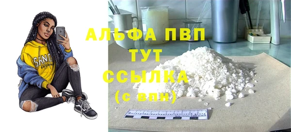 гидра Новодвинск